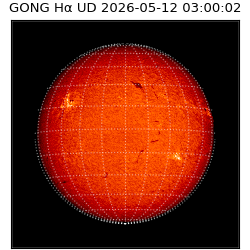 gong - 2026-05-12T03:00:02