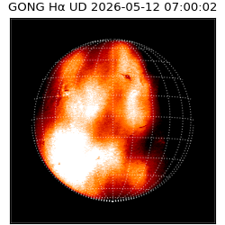 gong - 2026-05-12T07:00:02