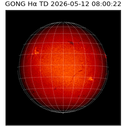 gong - 2026-05-12T08:00:22