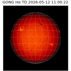 gong - 2026-05-12T11:00:22