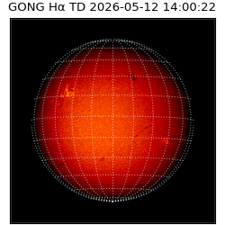 gong - 2026-05-12T14:00:22