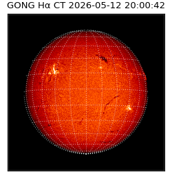 gong - 2026-05-12T20:00:42