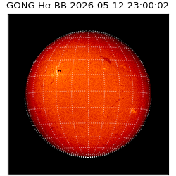 gong - 2026-05-12T23:00:02