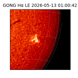 gong - 2026-05-13T01:00:42