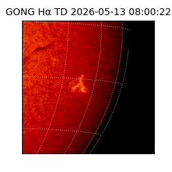 gong - 2026-05-13T08:00:22