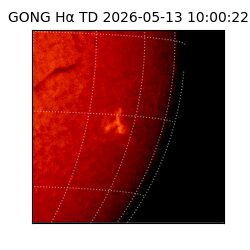 gong - 2026-05-13T10:00:22