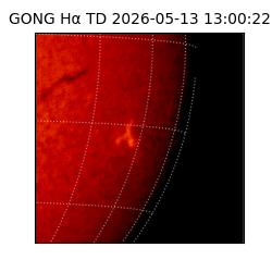 gong - 2026-05-13T13:00:22
