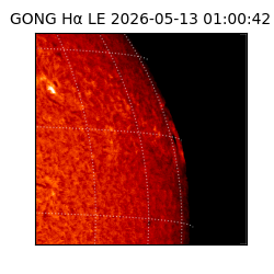 gong - 2026-05-13T01:00:42