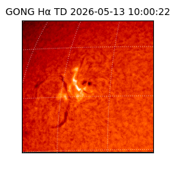 gong - 2026-05-13T10:00:22