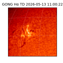 gong - 2026-05-13T11:00:22