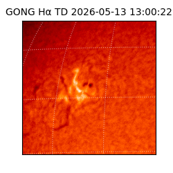 gong - 2026-05-13T13:00:22