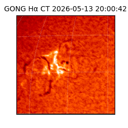 gong - 2026-05-13T20:00:42