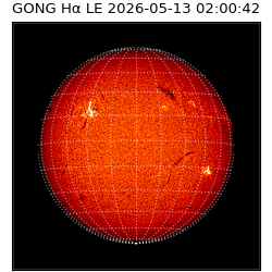 gong - 2026-05-13T02:00:42