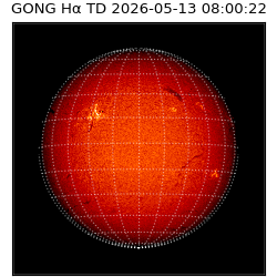 gong - 2026-05-13T08:00:22