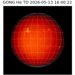gong - 2026-05-13T16:00:22