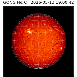 gong - 2026-05-13T19:00:42