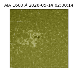 saia - 2026-05-14T02:00:14.123000