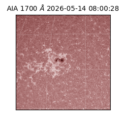 saia - 2026-05-14T08:00:28.727000