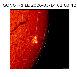 gong - 2026-05-14T01:00:42