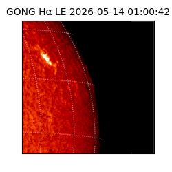 gong - 2026-05-14T01:00:42