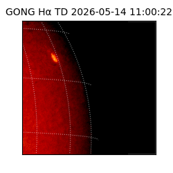gong - 2026-05-14T11:00:22