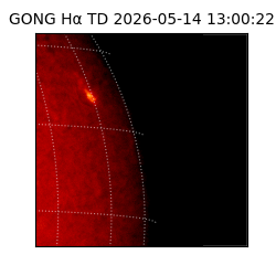 gong - 2026-05-14T13:00:22