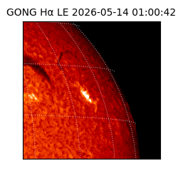 gong - 2026-05-14T01:00:42