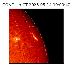 gong - 2026-05-14T19:00:42