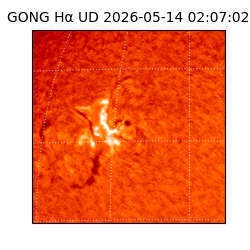 gong - 2026-05-14T02:07:02
