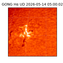 gong - 2026-05-14T05:00:02