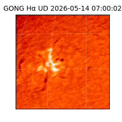 gong - 2026-05-14T07:00:02