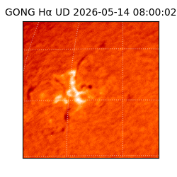 gong - 2026-05-14T08:00:02