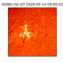 gong - 2026-05-14T09:00:02