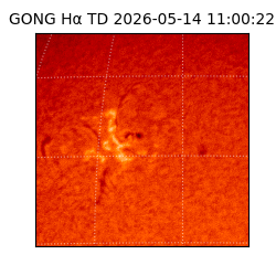 gong - 2026-05-14T11:00:22