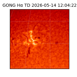 gong - 2026-05-14T12:04:22