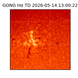 gong - 2026-05-14T13:00:22