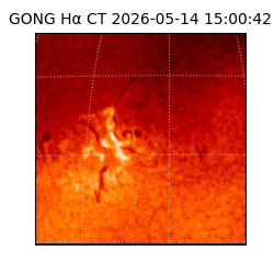 gong - 2026-05-14T15:00:42