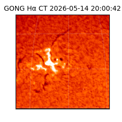 gong - 2026-05-14T20:00:42