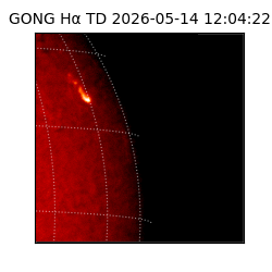 gong - 2026-05-14T12:04:22