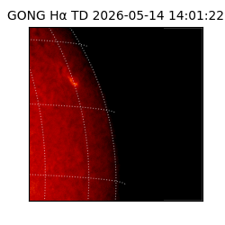 gong - 2026-05-14T14:01:22