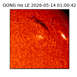gong - 2026-05-14T01:00:42