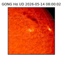 gong - 2026-05-14T08:00:02