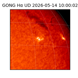 gong - 2026-05-14T10:00:02