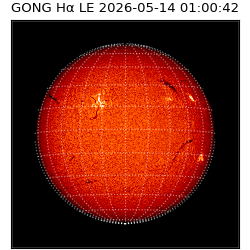 gong - 2026-05-14T01:00:42
