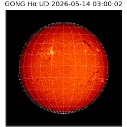 gong - 2026-05-14T03:00:02