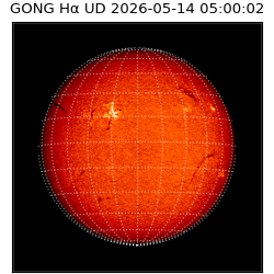 gong - 2026-05-14T05:00:02