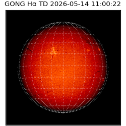 gong - 2026-05-14T11:00:22