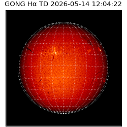 gong - 2026-05-14T12:04:22