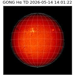 gong - 2026-05-14T14:01:22