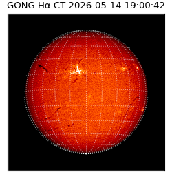 gong - 2026-05-14T19:00:42